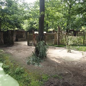 Eurasian moose exhibit, 2024-08-05