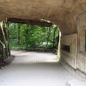 American beaver den viewing area, 2024-08-05