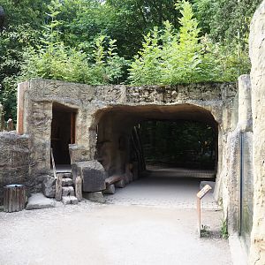 American beaver den viewing area, 2024-08-05