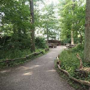 Picnic area, 2024-08-05