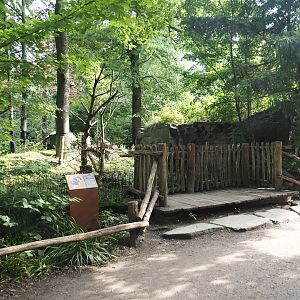 Wild turkey exhibit viewing area, 2024-08-05