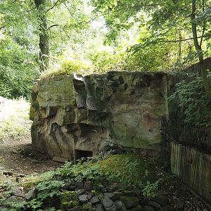 Wild turkey exhibit holding area (Previously Striped skunk and North American porcupine), 2024-08-05