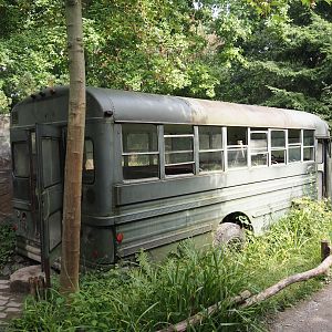 Alaska school bus - Wild turkey exhibit viewing area, 2024-08-05