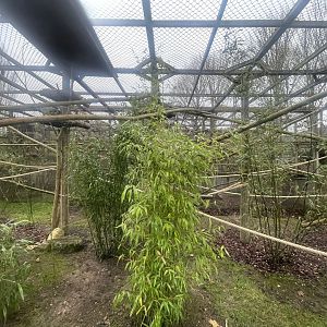 Refurbished Primate Enclosure
