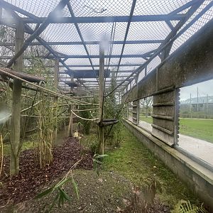 Refurbished Primate Enclosure