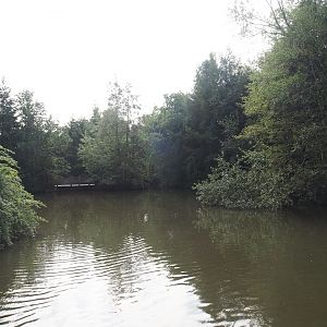 Pond near Alaska village, 2024-08-05