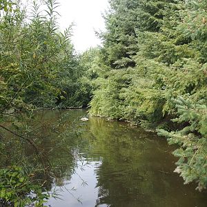 Pond near Alaska village, 2024-08-05