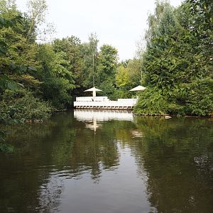 Pond near Alaska village, 2024-08-05