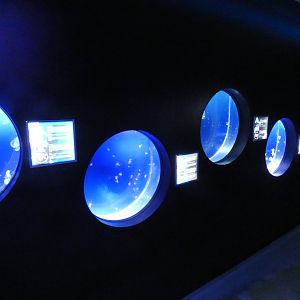 Jellyfish tanks - Svět Medúz