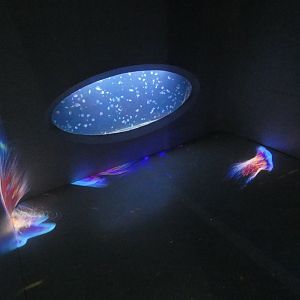 View of large hall - Svět Medúz