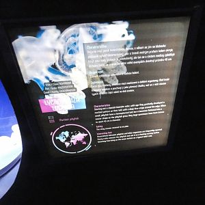 Signage style - Svět Medúz