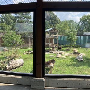 Fortress of the Bear - American Black Bear Exhibit
