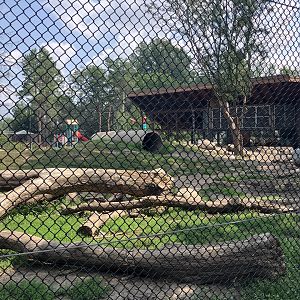 Fortress of the Bear - Grizzly Bear Exhibit #2