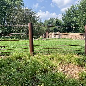 Rare Rhinos of Africa - Eastern Black Rhino Exhibit