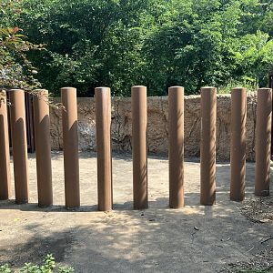 Rare Rhinos of Africa - Transfer Chute