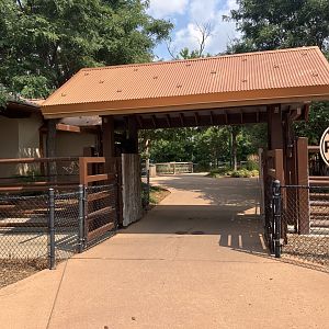 Rare Rhinos of Africa - Rare Rhino Crossing
