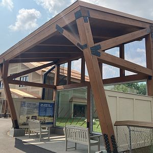 Africa - African Lion Viewing Shelter