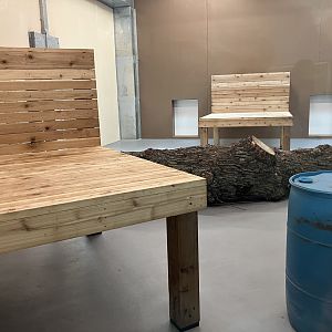 Africa - New Indoor African Lion Exhibit