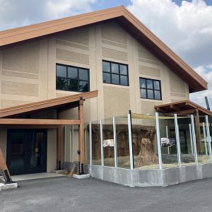 Africa - African Lion Building