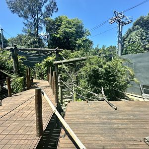 Ring-tailed Lemur Exhibit