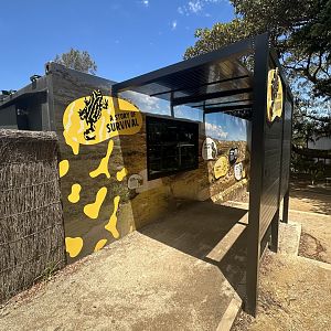 Corroboree Frog House (Exterior)