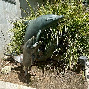 Bottlenose Dolphin Statue