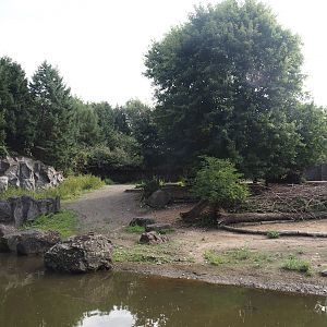 Domestic reindeer exhibit, 2024-08-05