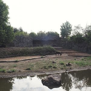 Domestic reindeer exhibit, 2024-08-05