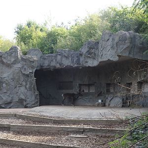 Domestic reindeer shelter and feeding area, 2024-08-05