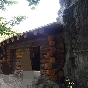 Eurasian brown bear viewing cabin, 2024-08-05