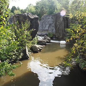 Water area in the Eurasian brown bear exhibit, 2024-08-05