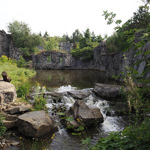 Water area in the Eurasian brown bear exhibit, 2024-08-05