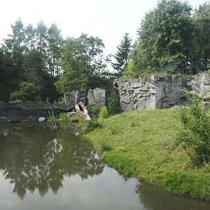 Eurasian brown bear exhibit, 2024-08-05