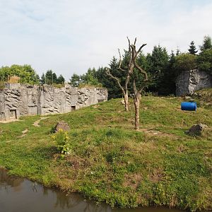 Kamchatka brown bear exhibit, 2024-08-05