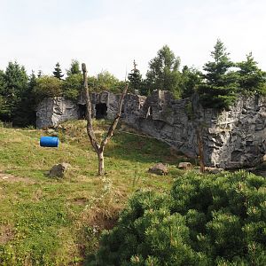 Kamchatka brown bear exhibit, 2024-08-05