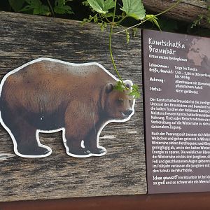 Kamchatka brown bear signage, 2024-08-05