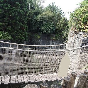 Adventure bridge near Kodiak Falls, waterfall in Kamchatka brown bear exhibit, 2024-08-05
