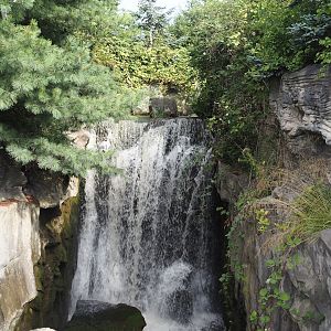 Kodiak Falls, Waterfall in Kamchatka brown bear exhibit, 2024-08-05