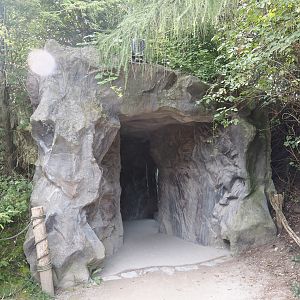 Kamchatka brown bear viewing cave, 2024-08-05