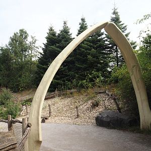 Whaling themed area - Baleen whale mandible gate, 2024-08-05