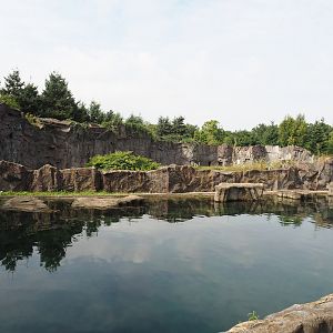 California sea lion exhibit, 2024-08-05