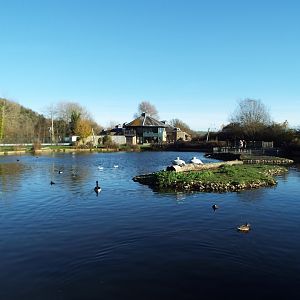 Dalmatian Pelican Exhibit, WWT Arundel
