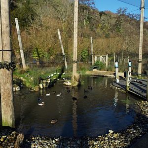 Coastal Creek 3, WWT Arundel