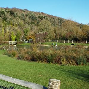 Waterfowl Enclosure Example, WWT Arundel