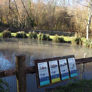 Waterfowl Exhibit, WWT Arundel