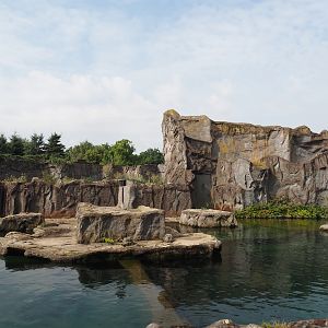 California sea lion exhibit, 2024-08-05