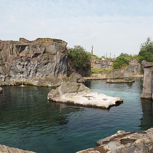 California sea lion exhibit, 2024-08-05