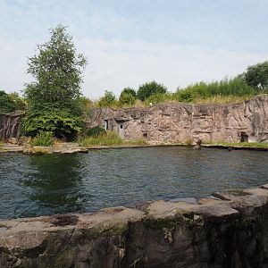 California sea lion exhibit, 2024-08-05