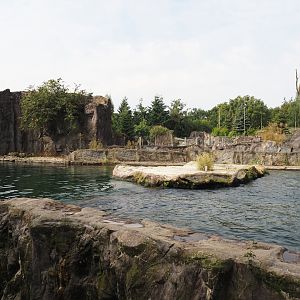 California sea lion exhibit, 2024-08-05