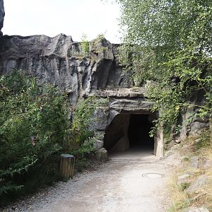 Entrance to California sea lion underwater viewing cave, 2024-08-05
